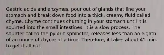 Gastric acids and enzymes, pour out of glands that line your stomach and break down food into a thick, creamy fluid called chyme. Chyme continues churning in your stomach until it is squirted into the small intestines. It is a slow process. The squirter called the pyloric sphincter, releases less than an eighth of an ounce of chyme at a time. Therefore, it takes about 45 min. to get it all out.