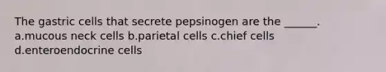 The gastric cells that secrete pepsinogen are the ______. a.mucous neck cells b.parietal cells c.chief cells d.enteroendocrine cells