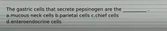 The gastric cells that secrete pepsinogen are the __________ . a.mucous neck cells b.parietal cells c.chief cells d.enteroendocrine cells