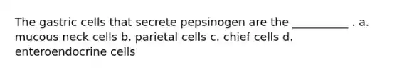 The gastric cells that secrete pepsinogen are the __________ . a. mucous neck cells b. parietal cells c. chief cells d. enteroendocrine cells