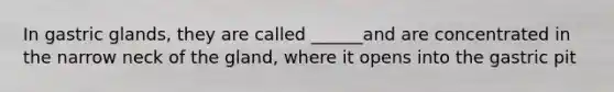 In gastric glands, they are called ______and are concentrated in the narrow neck of the gland, where it opens into the gastric pit
