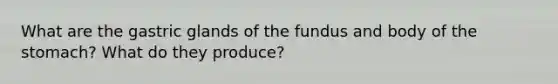 What are the gastric glands of the fundus and body of the stomach? What do they produce?