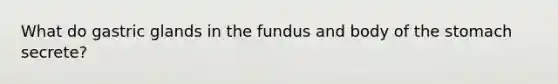 What do gastric glands in the fundus and body of the stomach secrete?