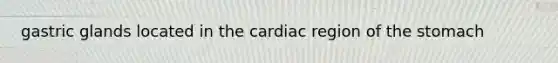 gastric glands located in the cardiac region of the stomach