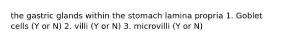 the gastric glands within <a href='https://www.questionai.com/knowledge/kLccSGjkt8-the-stomach' class='anchor-knowledge'>the stomach</a> lamina propria 1. Goblet cells (Y or N) 2. villi (Y or N) 3. microvilli (Y or N)