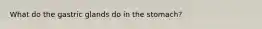 What do the gastric glands do in the stomach?