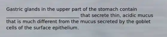 Gastric glands in the upper part of the stomach contain _______________________________ that secrete thin, acidic mucus that is much different from the mucus secreted by the goblet cells of the surface epithelium.