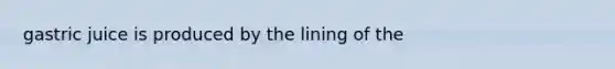 gastric juice is produced by the lining of the