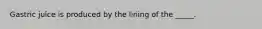 Gastric juice is produced by the lining of the _____.