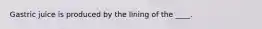 Gastric juice is produced by the lining of the ____.