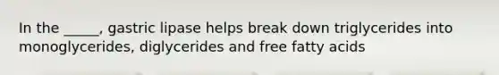 In the _____, gastric lipase helps break down triglycerides into monoglycerides, diglycerides and free fatty acids
