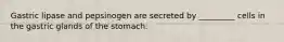 Gastric lipase and pepsinogen are secreted by _________ cells in the gastric glands of the stomach.