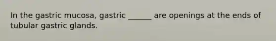 In the gastric mucosa, gastric ______ are openings at the ends of tubular gastric glands.