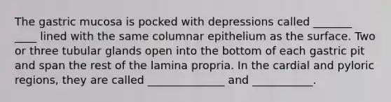 The gastric mucosa is pocked with depressions called _______ ____ lined with the same columnar epithelium as the surface. Two or three tubular glands open into the bottom of each gastric pit and span the rest of the lamina propria. In the cardial and pyloric regions, they are called ______________ and ___________.
