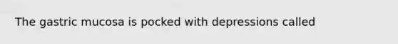 The gastric mucosa is pocked with depressions called