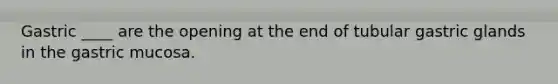 Gastric ____ are the opening at the end of tubular gastric glands in the gastric mucosa.