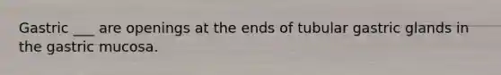 Gastric ___ are openings at the ends of tubular gastric glands in the gastric mucosa.