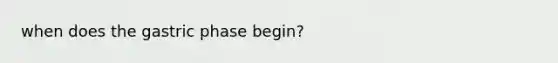 when does the gastric phase begin?