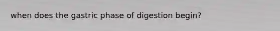 when does the gastric phase of digestion begin?