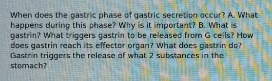 When does the gastric phase of gastric secretion occur? A. What happens during this phase? Why is it important? B. What is gastrin? What triggers gastrin to be released from G cells? How does gastrin reach its effector organ? What does gastrin do? Gastrin triggers the release of what 2 substances in the stomach?