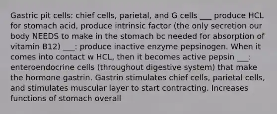 Gastric pit cells: chief cells, parietal, and G cells ___ produce HCL for stomach acid, produce intrinsic factor (the only secretion our body NEEDS to make in the stomach bc needed for absorption of vitamin B12) ___: produce inactive enzyme pepsinogen. When it comes into contact w HCL, then it becomes active pepsin ___: enteroendocrine cells (throughout digestive system) that make the hormone gastrin. Gastrin stimulates chief cells, parietal cells, and stimulates muscular layer to start contracting. Increases functions of stomach overall