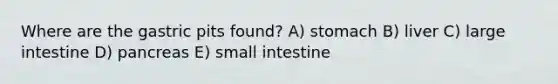 Where are the gastric pits found? A) stomach B) liver C) <a href='https://www.questionai.com/knowledge/kGQjby07OK-large-intestine' class='anchor-knowledge'>large intestine</a> D) pancreas E) small intestine