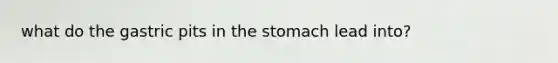 what do the gastric pits in the stomach lead into?