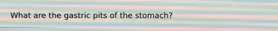 What are the gastric pits of the stomach?