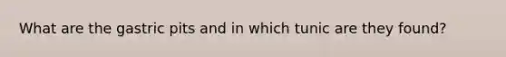 What are the gastric pits and in which tunic are they found?