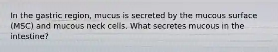 In the gastric region, mucus is secreted by the mucous surface (MSC) and mucous neck cells. What secretes mucous in the intestine?