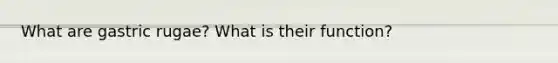 What are gastric rugae? What is their function?