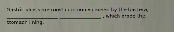 Gastric ulcers are most commonly caused by the bactera, _____________________ _________________ , which erode <a href='https://www.questionai.com/knowledge/kLccSGjkt8-the-stomach' class='anchor-knowledge'>the stomach</a> lining.
