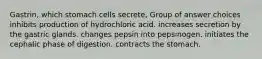 Gastrin, which stomach cells secrete, Group of answer choices inhibits production of hydrochloric acid. increases secretion by the gastric glands. changes pepsin into pepsinogen. initiates the cephalic phase of digestion. contracts the stomach.