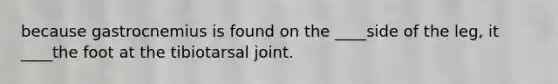 because gastrocnemius is found on the ____side of the leg, it ____the foot at the tibiotarsal joint.