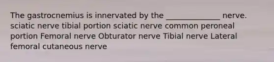 The gastrocnemius is innervated by the ______________ nerve. sciatic nerve tibial portion sciatic nerve common peroneal portion Femoral nerve Obturator nerve Tibial nerve Lateral femoral cutaneous nerve