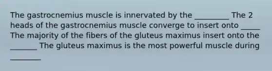 The gastrocnemius muscle is innervated by the _________ The 2 heads of the gastrocnemius muscle converge to insert onto _____ The majority of the fibers of the gluteus maximus insert onto the _______ The gluteus maximus is the most powerful muscle during ________