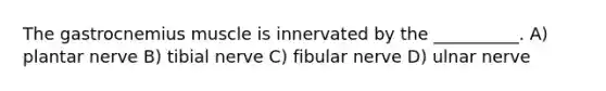 The gastrocnemius muscle is innervated by the __________. A) plantar nerve B) tibial nerve C) fibular nerve D) ulnar nerve