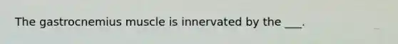 The gastrocnemius muscle is innervated by the ___.