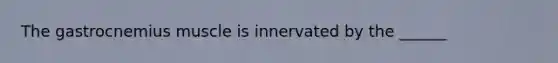 The gastrocnemius muscle is innervated by the ______