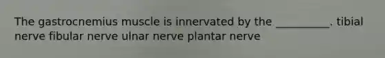 The gastrocnemius muscle is innervated by the __________. tibial nerve fibular nerve ulnar nerve plantar nerve