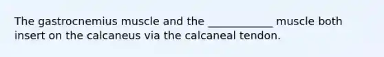 The gastrocnemius muscle and the ____________ muscle both insert on the calcaneus via the calcaneal tendon.