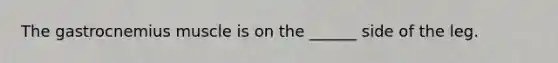 The gastrocnemius muscle is on the ______ side of the leg.