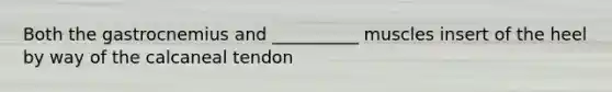 Both the gastrocnemius and __________ muscles insert of the heel by way of the calcaneal tendon