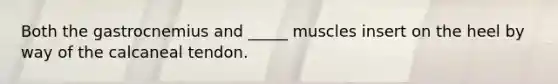 Both the gastrocnemius and _____ muscles insert on the heel by way of the calcaneal tendon.