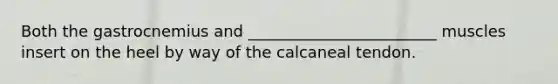 Both the gastrocnemius and ________________________ muscles insert on the heel by way of the calcaneal tendon.