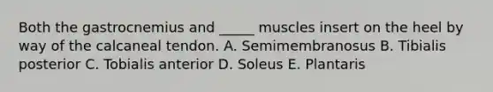 Both the gastrocnemius and _____ muscles insert on the heel by way of the calcaneal tendon. A. Semimembranosus B. Tibialis posterior C. Tobialis anterior D. Soleus E. Plantaris