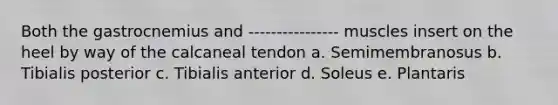 Both the gastrocnemius and ---------------- muscles insert on the heel by way of the calcaneal tendon a. Semimembranosus b. Tibialis posterior c. Tibialis anterior d. Soleus e. Plantaris