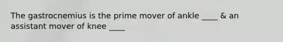 The gastrocnemius is the prime mover of ankle ____ & an assistant mover of knee ____