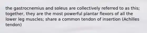 the gastrocnemius and soleus are collectively referred to as this; together, they are the most powerful plantar flexors of all the lower leg muscles; share a common tendon of insertion (Achilles tendon)