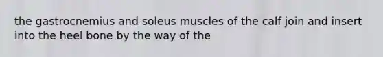 the gastrocnemius and soleus muscles of the calf join and insert into the heel bone by the way of the